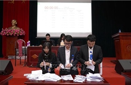 Phiên đấu giá quyền sử dụng đất đầu tiên tại xã Quang Minh (Hà Nội)