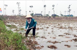 Kết thúc lấy nước sản xuất vụ Đông Xuân: Hoàn thành gần 91% kế hoạch