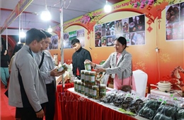 Giới thiệu hơn 500 sản phẩm OCOP cho dịp Tết