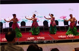 Xuân Bính Ngọ 2026: Tết Việt ấm áp gắn kết cộng đồng kiều bào tại Australia