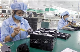 Trụ cột của quan hệ Đối tác Chiến lược Toàn diện Việt Nam - EU