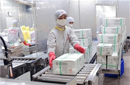 Nền tảng tạo đà cho kinh tế tháng đầu năm 2026