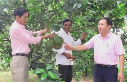 Huế giảm mạnh tỷ lệ hộ nghèo, hướng tới mục tiêu bền vững