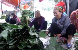 Hành trình 'xuất ngoại' của lá dong Hồng Châu