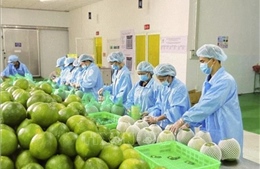 Tăng tốc từ đầu năm, nông nghiệp và môi trường giữ đà tăng trưởng