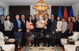 Xuân Bính Ngọ 2026: Tiếp tục vun đắp mối quan hệ đặc biệt Việt Nam và Lào