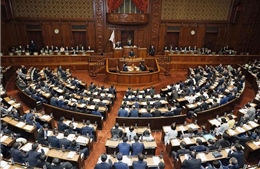 Theo dòng thời sự: Giữa an sinh và thị trường