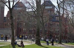 Mỹ: Lầu Năm Góc chấm dứt toàn bộ chương trình đào tạo với Đại học Harvard