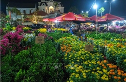 Cần Thơ khai mạc chợ hoa Xuân quy mô gần 600 gian hàng
