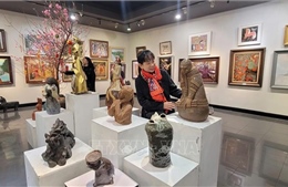 170 tác phẩm hội tụ tại triển lãm ‘Mừng Đảng, mừng Xuân Bính Ngọ 2026’