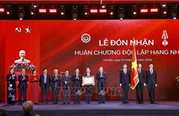 Đóng góp hiệu quả vào sự nghiệp hoàn thiện thể chế, pháp luật