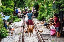 Nghèo đói - ‘cơn đau đầu’ của Thái Lan