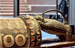 Bước tiến trong nỗ lực hoàn trả di sản văn hóa của châu Phi