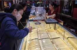 Điểm tin kinh tế Việt Nam nổi bật ngày 24/2/2026