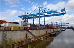 Điểm tin kinh tế thế giới nổi bật ngày 25/2/2026