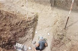 Phát hiện mới về sự xuất hiện tổ tiên loài người tại Israel