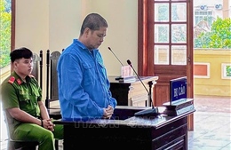 Phạt tù 'cò lúa' lừa tiền của thương lái