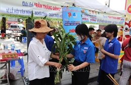 Nét văn hóa đặc sắc trong lòng Lễ hội Nguyên Tiêu 2026