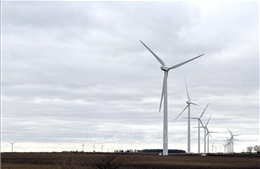 Trí tuệ nhân tạo: Các ‘ông lớn’ AI của Mỹ cam kết đầu tư vào hạ tầng năng lượng