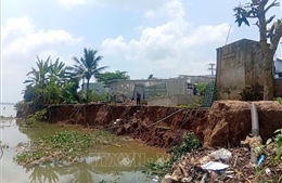 Bờ sông Tiền tiếp tục sạt lở, di dời 2 hộ dân