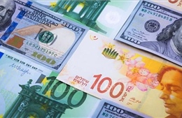 Dự trữ ngoại hối của Israel lập mức kỷ lục