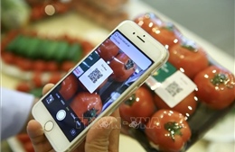 Bộ Công Thương ban hành Kế hoạch quản lý truy xuất nguồn gốc thực phẩm