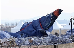 Bộ Giao thông Hàn Quốc bị điều tra liên quan đến vụ tai nạn máy bay khiến 179 người tử vong