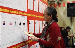 Truyền thông quốc tế ấn tượng với ‘Ngày hội non sông’ của Việt Nam