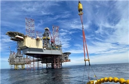 Anh bác đề xuất tăng khai thác dầu khí Biển Bắc