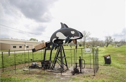 Điểm tin kinh tế thế giới nổi bật ngày 25/3/2026