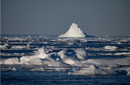 Băng biển tại Bắc Cực giảm xuống mức thấp nhất từ trước đến nay