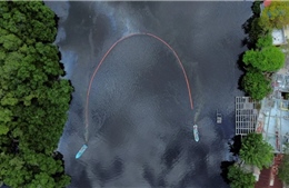 Xác định nguyên nhân vụ tràn dầu ở Vịnh Mexico