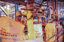 Tìm giải pháp ổn định thị trường phân bón trong nước