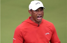 Huyền thoại golf Tiger Woods bị bắt sau tai nạn lật xe tại Mỹ