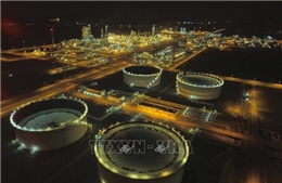 Từ cú sốc toàn cầu đến nâng tầm nội lực - Bài 2: Khi dự trữ là 'vùng đệm' chiến lược