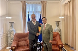 Việt - Pháp thúc đẩy quan hệ hợp tác qua kênh