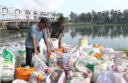 Thả hàng triệu con giống tái tạo nguồn lợi thủy sản