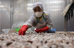 Điểm tin kinh tế Việt Nam nổi bật ngày 1/4/2026