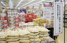 Điểm tin kinh tế thế giới nổi bật ngày 2/4/2026