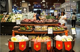 Huy động người Việt Nam ở nước ngoài giới thiệu, tiêu thụ sản phẩm, phát triển kênh phân phối hàng Việt Nam