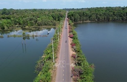 Điểm tin kinh tế Việt Nam nổi bật ngày 7/4/2026