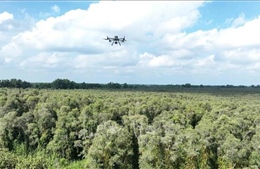 Không chủ quan trước nắng nóng gay gắt và nguy cơ cháy rừng 