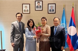 Phái đoàn Thường trực Việt Nam tại LHQ chung vui Tết cổ truyền của Lào và Campuchia