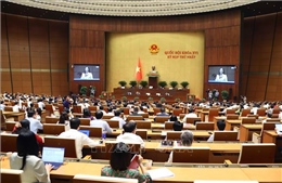 Thông cáo báo chí số 08, Kỳ họp thứ Nhất, Quốc hội khóa XVI