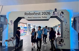 Trí tuệ nhân tạo: RoboFest 2026 định hình tư duy công nghệ robot và AI cho trẻ em