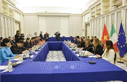 Việt Nam là đối tác quan trọng của Italy trong khu vực Ấn Độ Dương - Thái Bình Dương