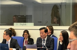 Việt Nam cam kết phát triển năng lượng nguyên tử vì mục đích hòa bình, tuân thủ các tiêu chuẩn an toàn quốc tế