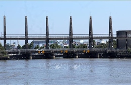 Khắc phục ô nhiễm môi trường khi đóng cống ngăn mặn