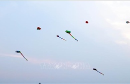 Ngăn ngừa rủi ro từ sự cố do thả diều