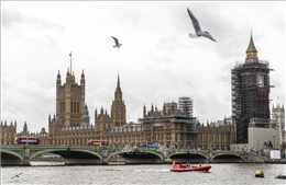 Quốc hội Anh mở cuộc điều tra thỏa thuận thương mại với Mỹ